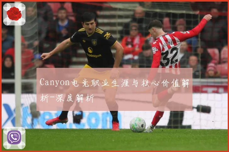 Canyon电竞职业生涯与核心价值解析-深度解析